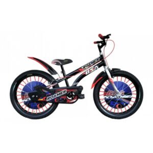 BSA Roamer Bicycle for Kids (14, INCH)
